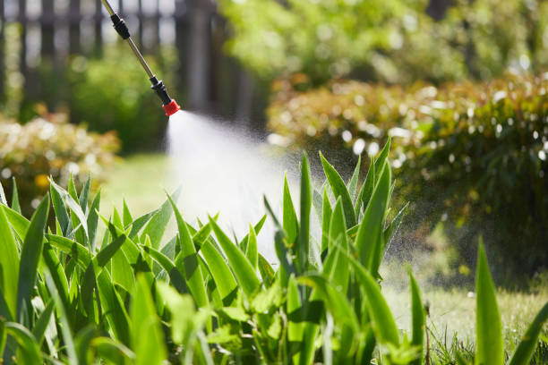 24/7 Emergency Wasp Removal experts in Lake Murray of Richland, SC