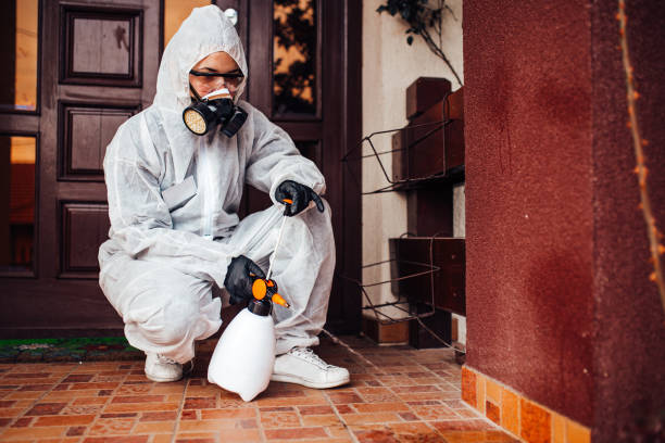Reliable Wasp Removal contractor in Lake Murray of Richland, SC by Show Me Pest Control